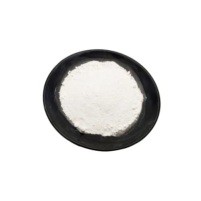 Chinese Supplier Supply Chemical High Purity CAS. 584